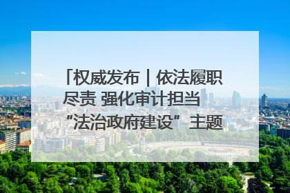 权威发布｜依法履职尽责 强化审计担当 “法治政府建设”主题系列新闻发布会市审计局专场召开